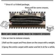VIKAMA Flannel Carpet Cartoon Dollar Entry Door Mat Entryway Rug Entry Rug Non-slip Mat  Washable Dirty Resistant Home Decor